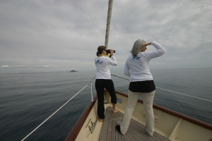 Almudena, who joined us from KAI in Torreviaje, and Francoise keep a look out for turtles and cetaceans.