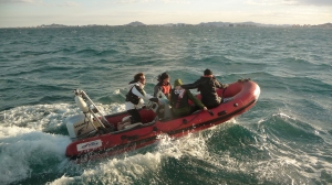 Ricardo, Greg, Kyler and Jeppe go out on the RIB in slightly bumpy conditions!